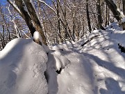 Monte Suchello (1541 m) da Costa Serina il 20 gennaio 2023  - FOTOGALLERY